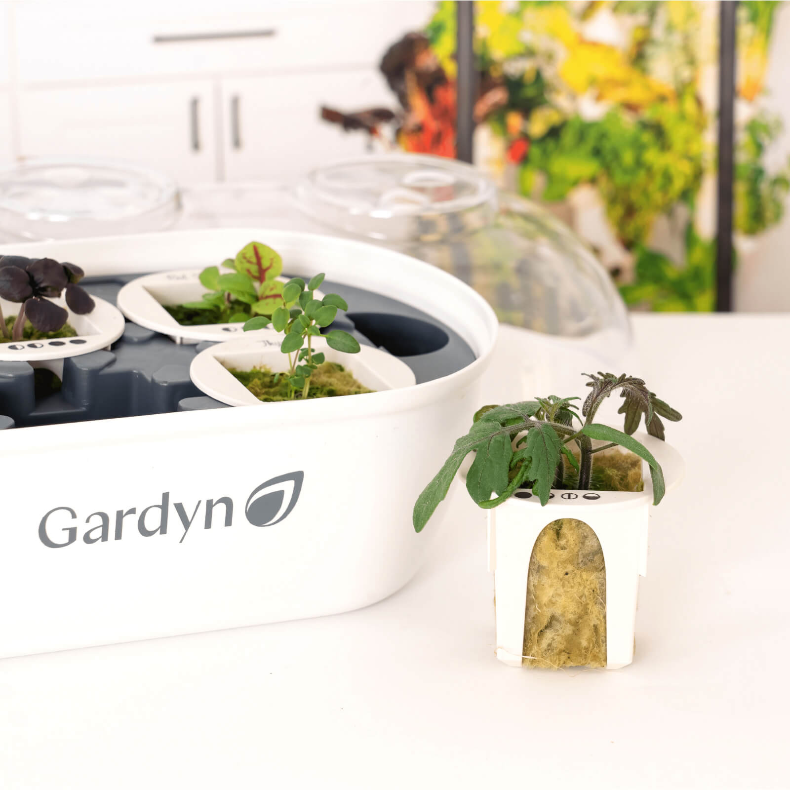 Gardyn Sprout Nursery
